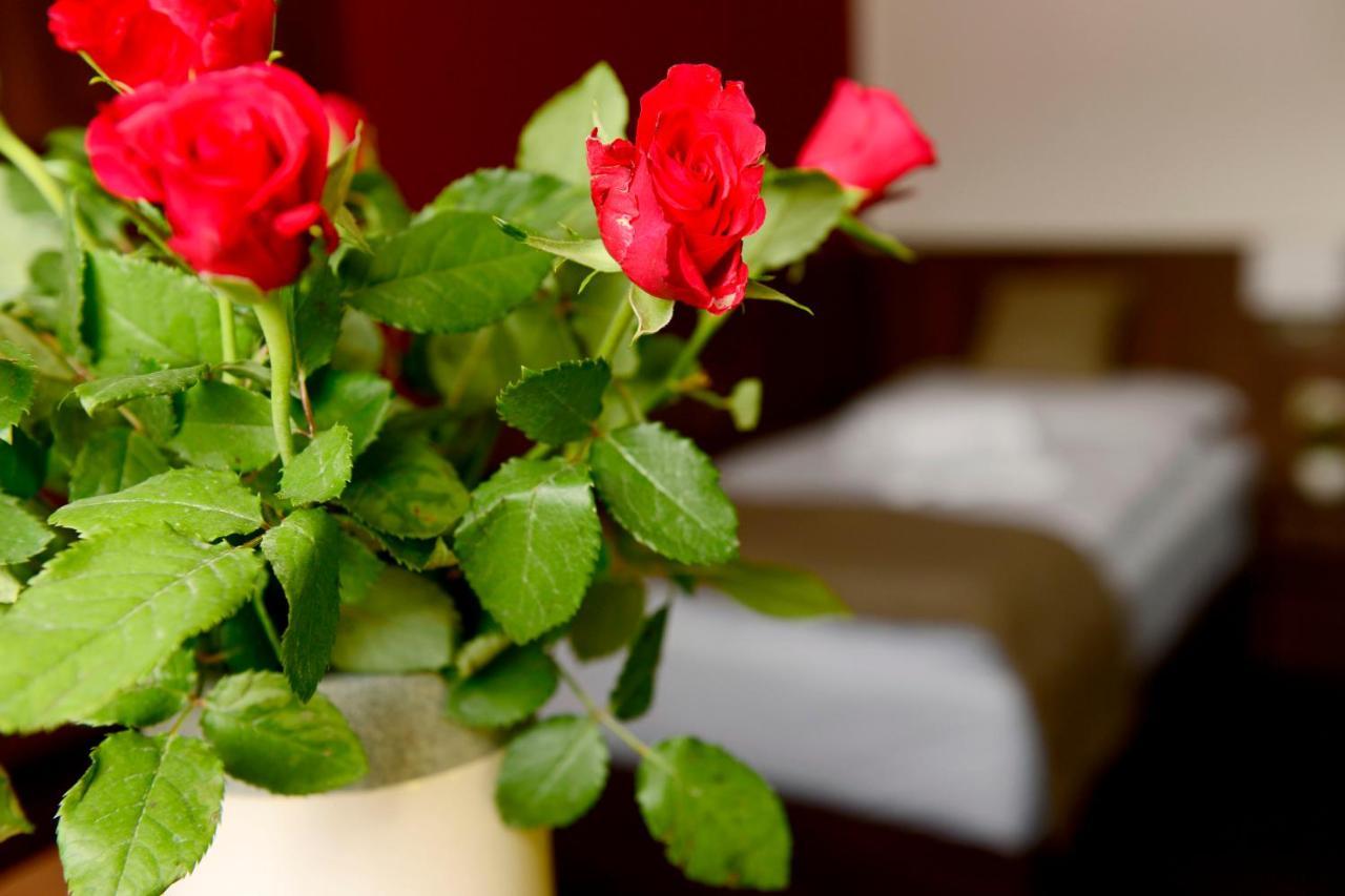 Hotel U Hada Zatec المظهر الخارجي الصورة