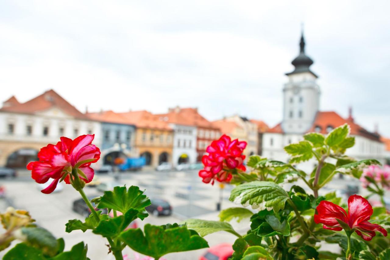 Hotel U Hada Zatec المظهر الخارجي الصورة